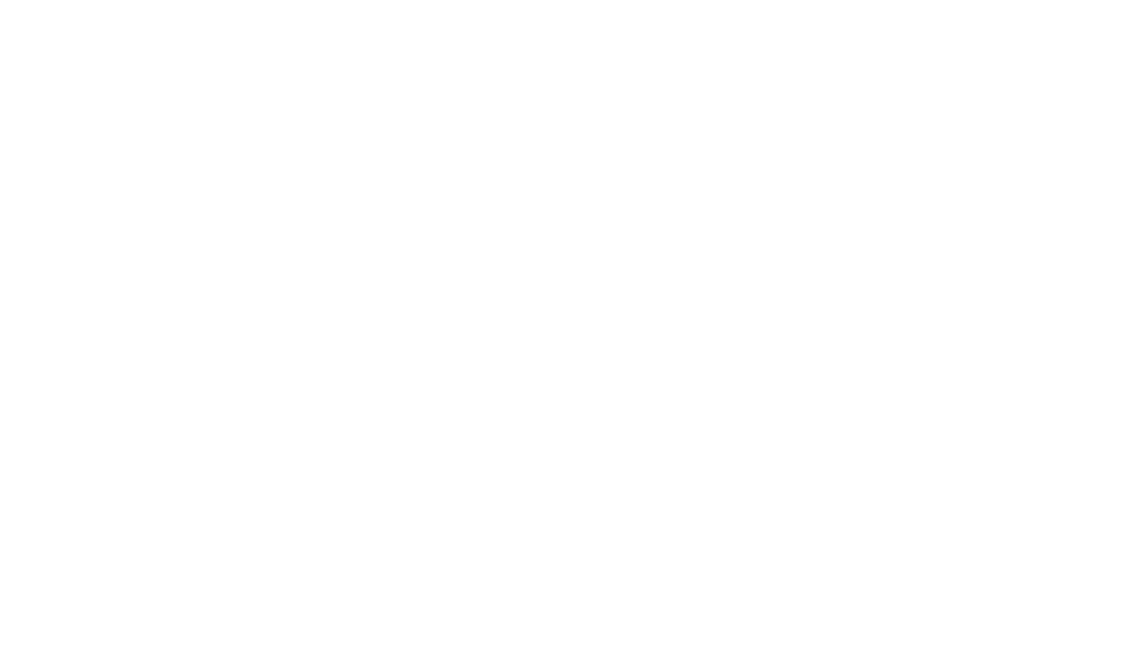 Casanovamgmt Logo